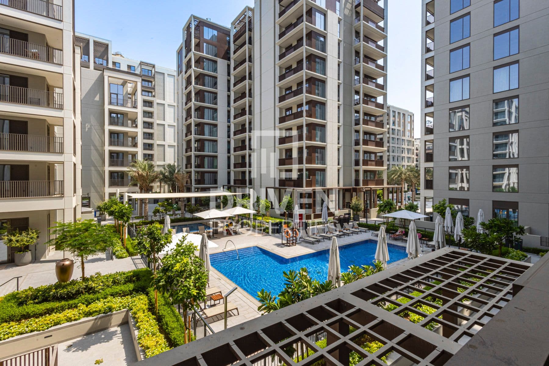 Lotus at Creek Beach