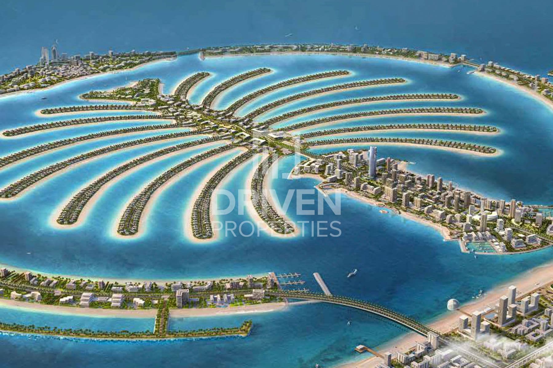 Villa Coral Living Frond P