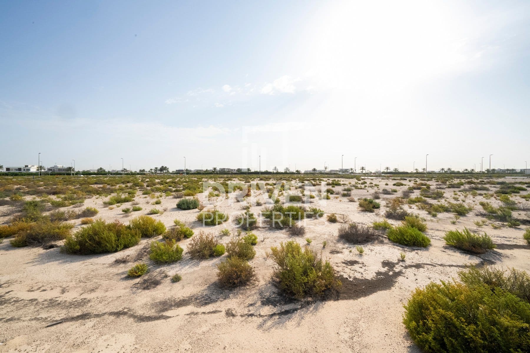 Jebel Ali Hills