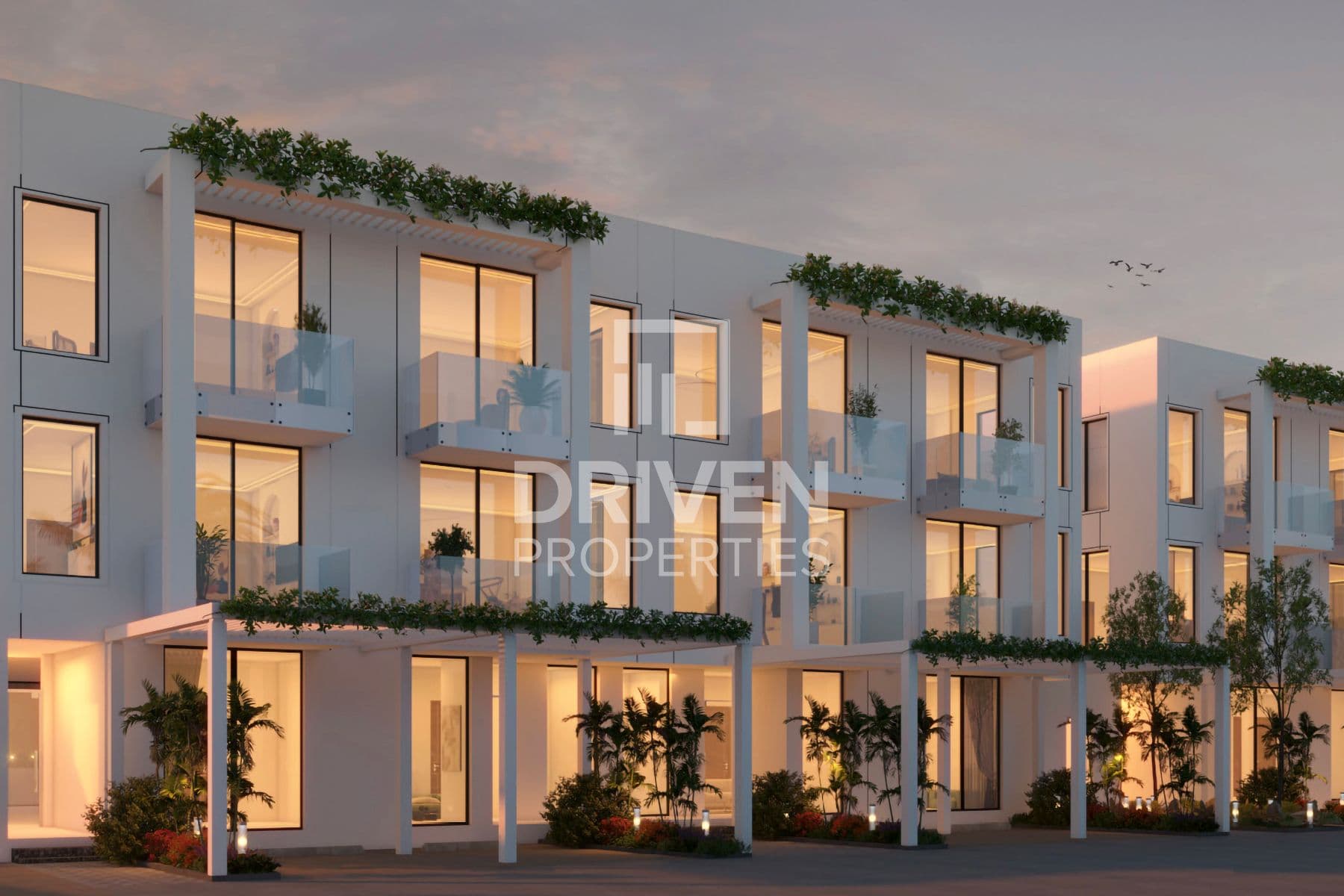 Saadiyat Grove