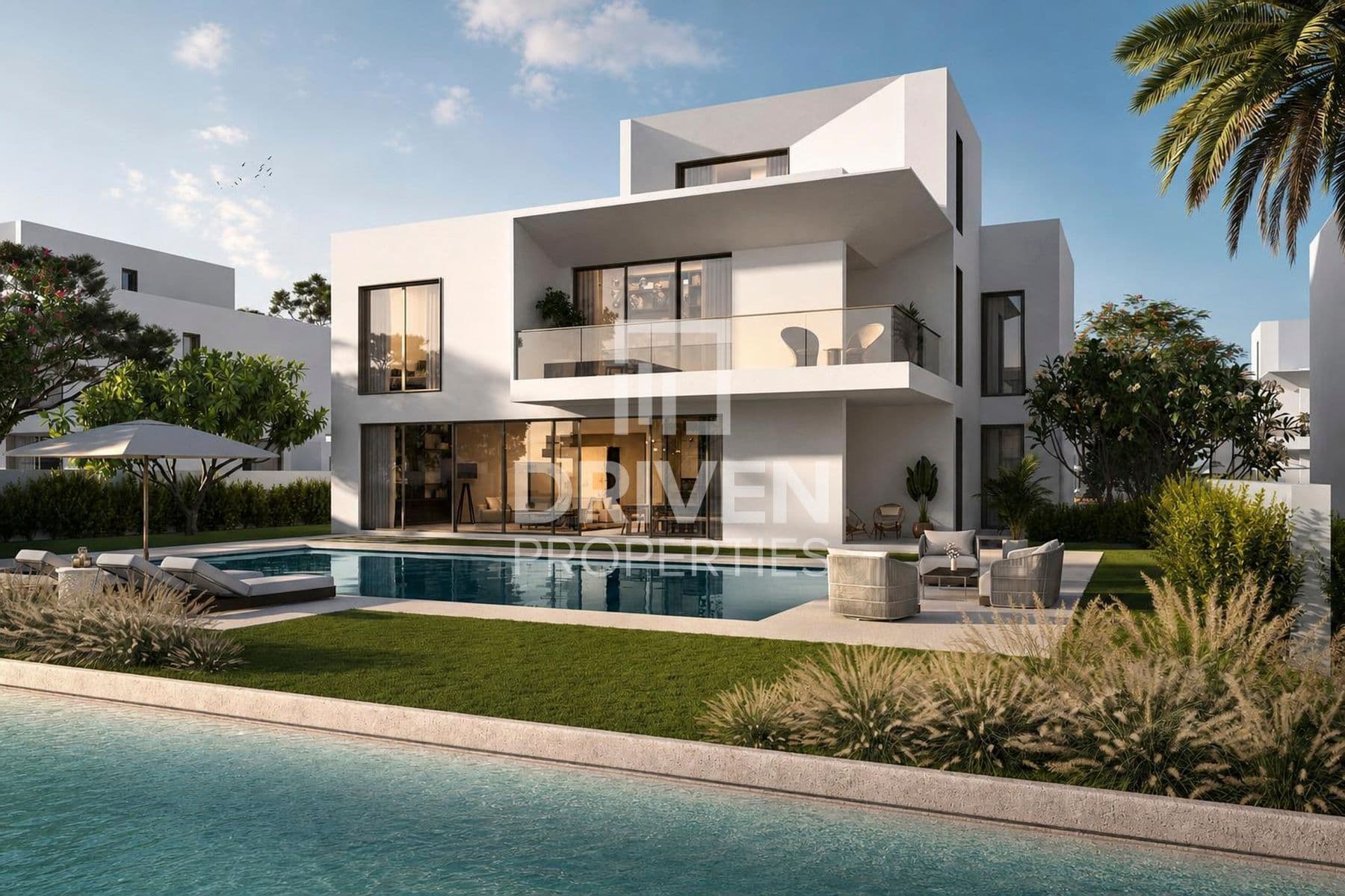 Palmiera 3