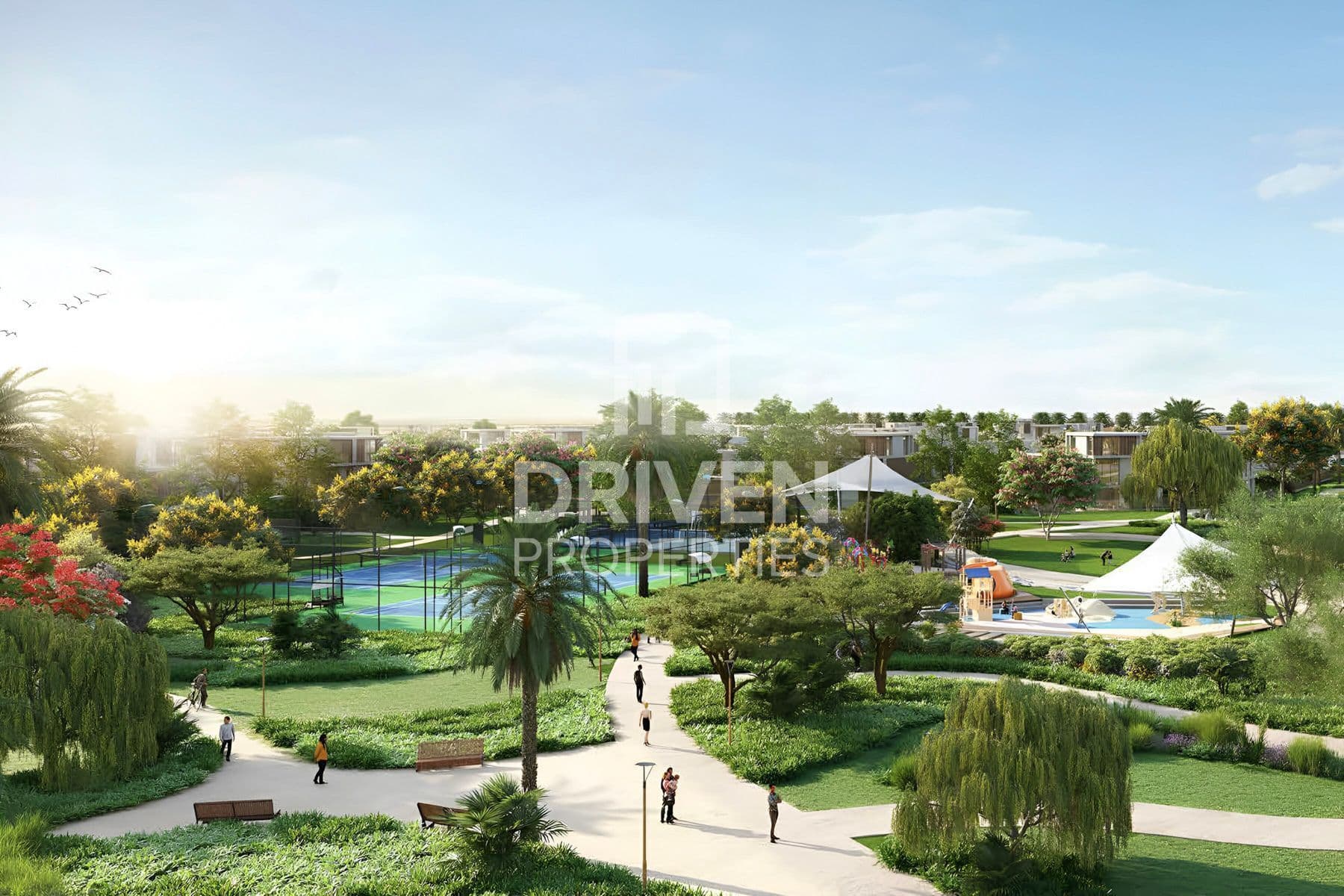 The Acres Phase 1