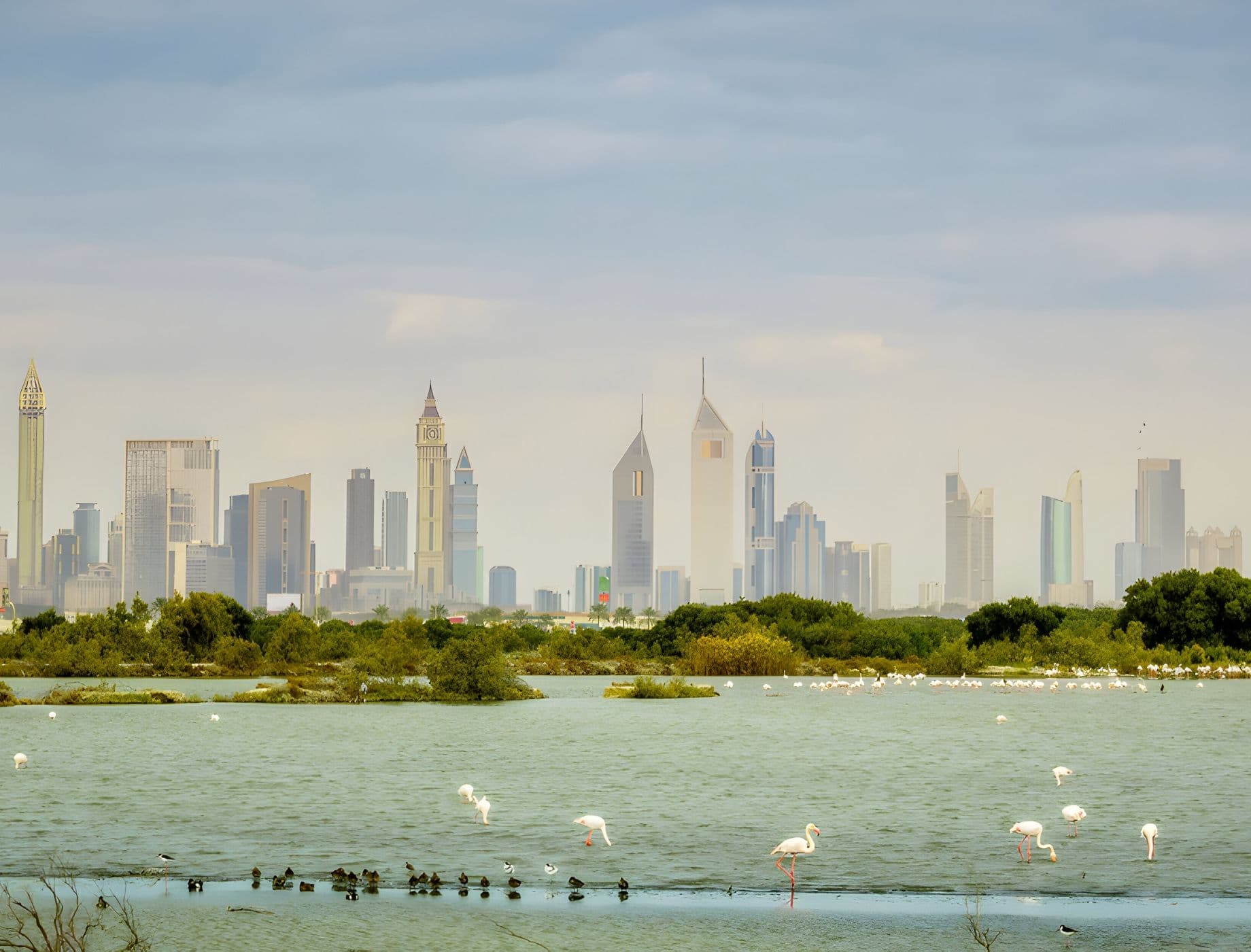 Ras Al Khor